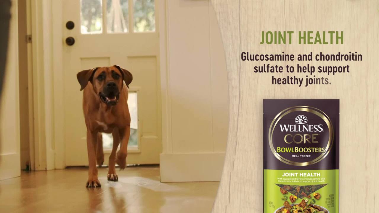 thumbnail video image 2 of Wellness Bowl Boosters, Dog Food Topper for Small, Medium, & Large Breeds, Grain Free, Natural, Freeze Dried, Skin & Coat Health Chicken, 4 Ounce Bag (Pack of 1), 2 of 8