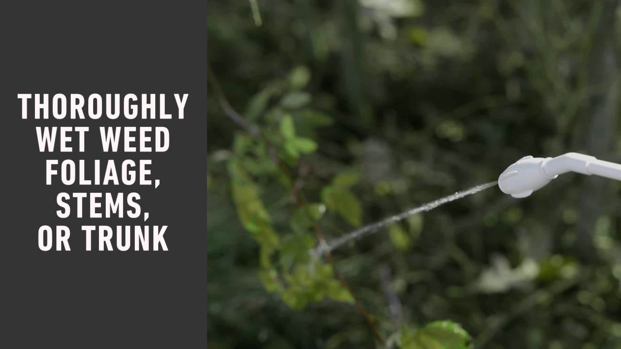 thumbnail video image 2 of Ortho GroundClear Poison Ivy and Tough Brush Killer3 with Comfort Wand, 1 gal., 2 of 7