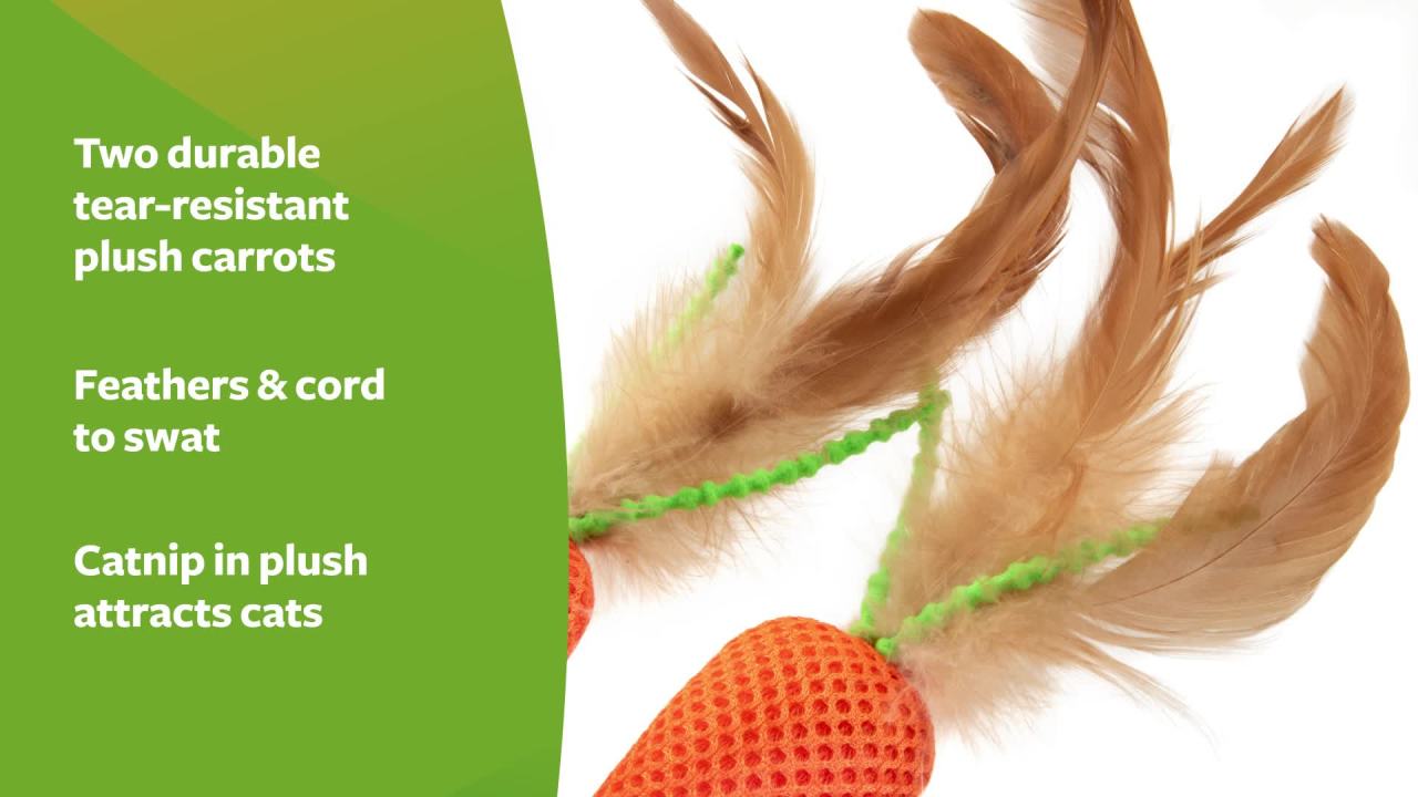 SmartyKat Crazy Carrots Flexible Bat and Chase Toy