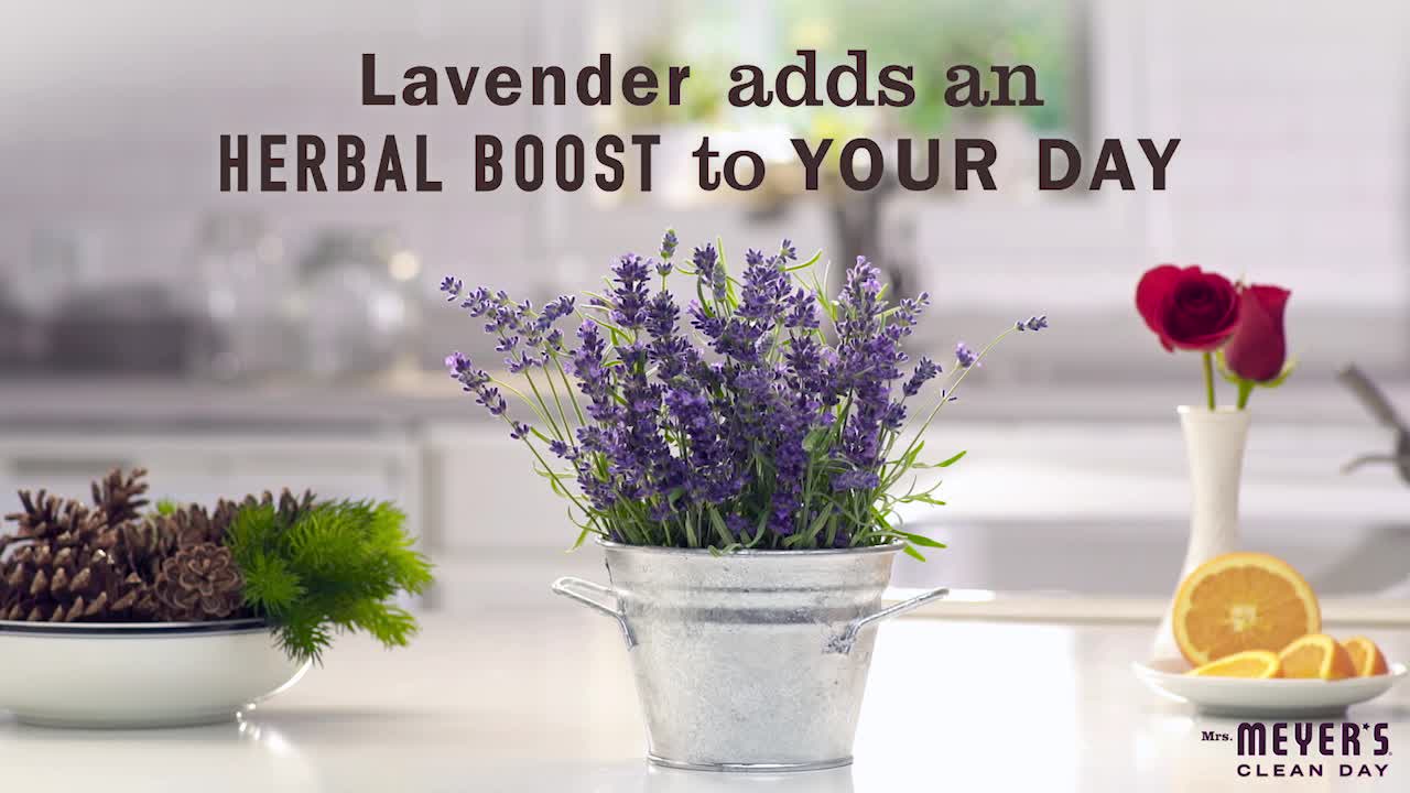 thumbnail video image 2 of Mrs. Meyer's Clean Day Scented Soy Candle, Large, Lavender Scent, 7.2  fl oz Candle, 2 of 6