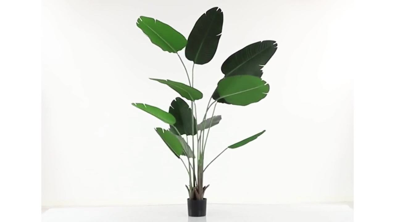 thumbnail video image 2 of DecMode 70" Tall Artificial Bird of Paradise Plant in Black Plastic Pot, 2 of 14