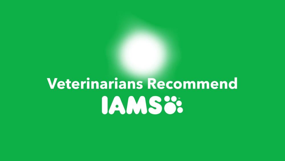 IAMS Minichunks Adult Dry Dog Food Lamb & Rice Recipe Dog Kibble, 38.5 lb. Bag - image 2 of 11