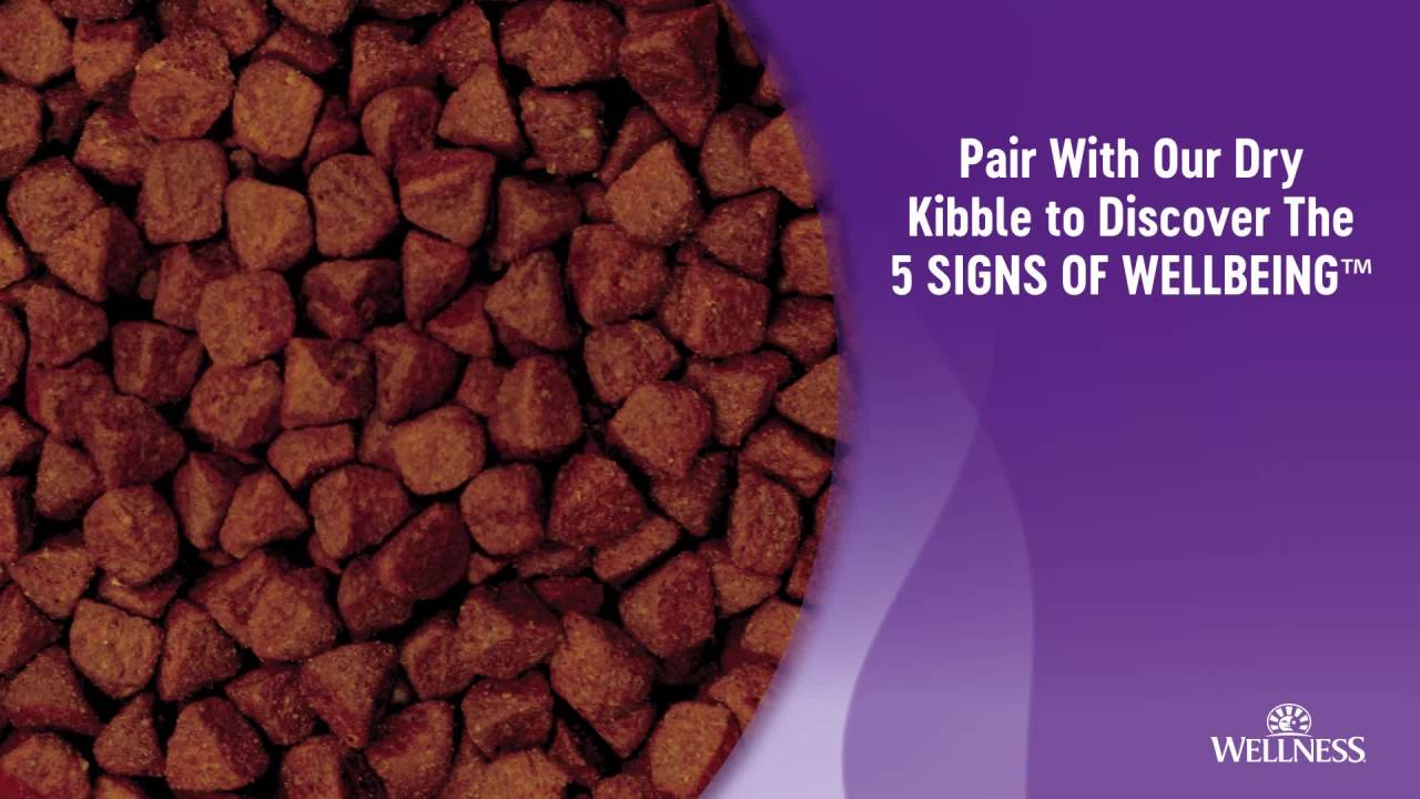 thumbnail video image 2 of Wellness Thick & Chunky Natural Grain Free Canned Dog Food, Beef Stew, 12.5-Ounce Can (Pack of 12), 2 of 8