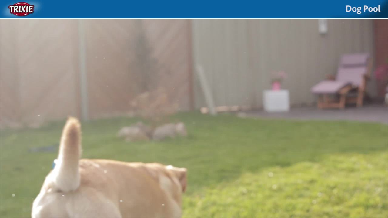 thumbnail video image 2 of TRIXIE 63" Outdoor Splash Pool for Dogs, Foldable Playpen, Bathtub, Blue, XX-Large, 2 of 9