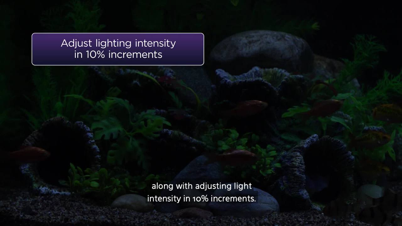 thumbnail video image 2 of Coralife Aqualight Mini Aquarium LED Light Fixture, Multicolor - Day White/Moon Glow/RGB, 2 of 8