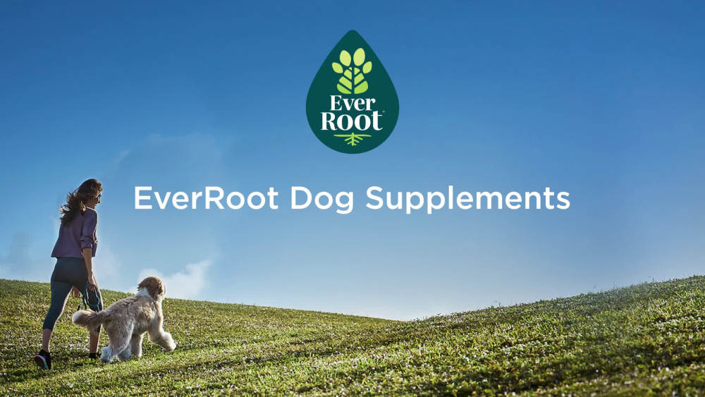 EverRoot Senior Dog Supplement by Purina, Brain Health Oil With Organic