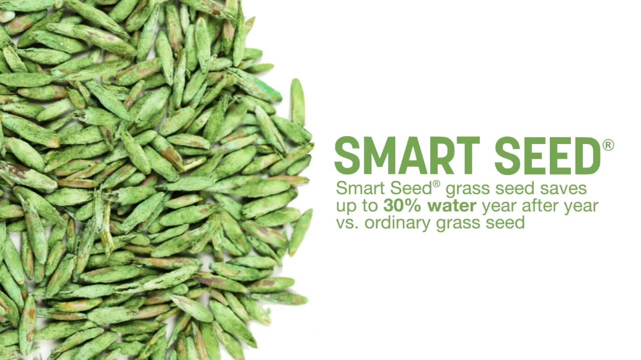 thumbnail video image 2 of Pennington Smart Patch Tall Fescue Grass Seed Mix, for Sun to Partial Shade, 5 lb., 2 of 14