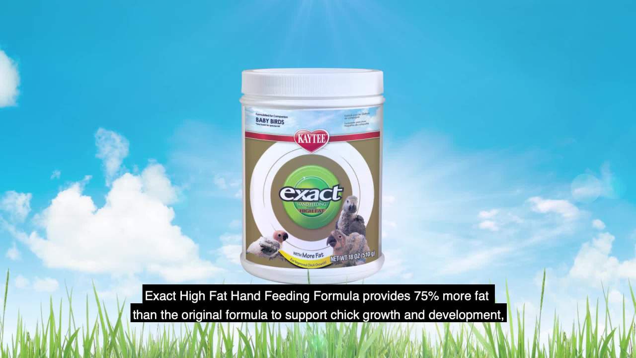 thumbnail video image 2 of Kaytee Exact Handfeeding for Baby Birds 7.5 oz, 2 of 5