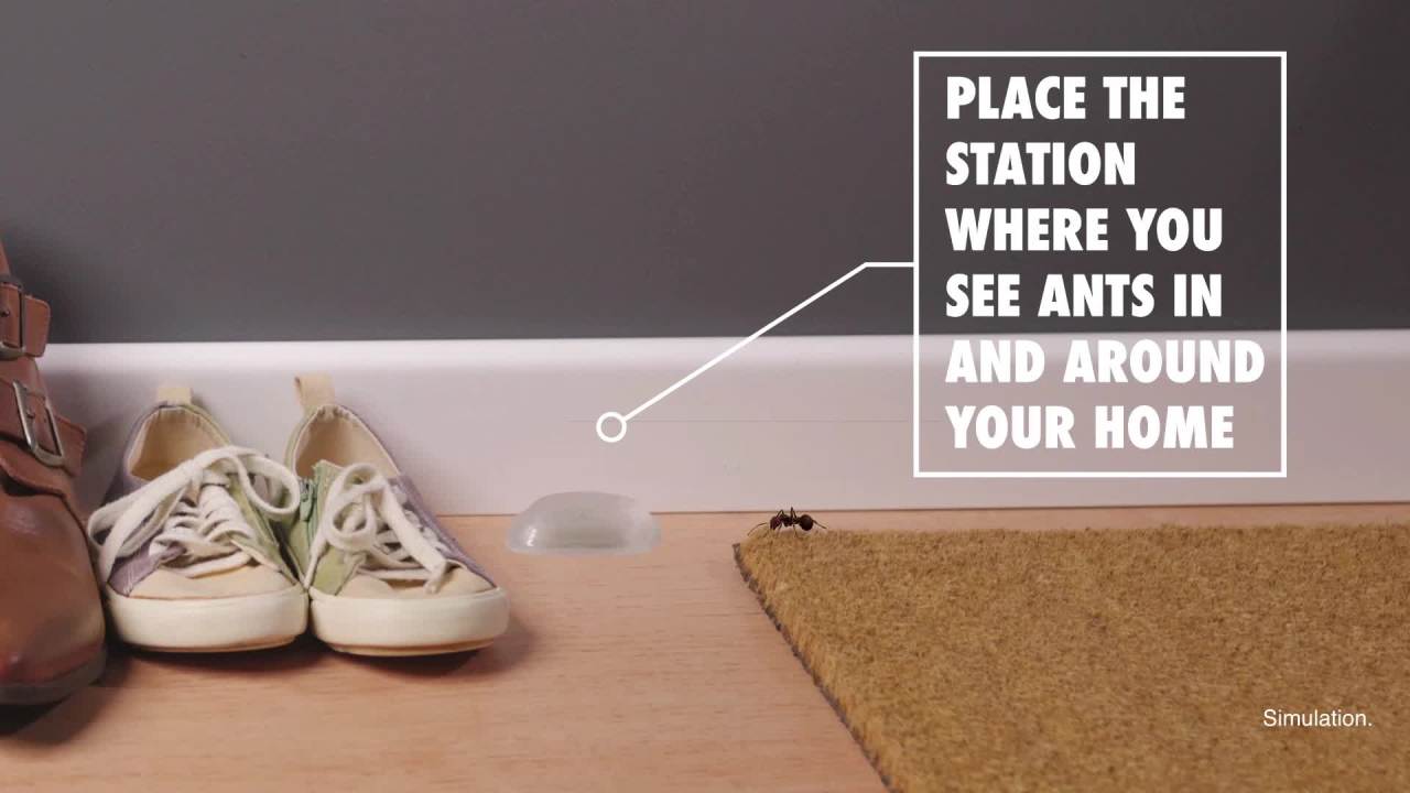 thumbnail video image 2 of STEM Kills Liquid Bait Ant Insect Killer, Spill Proof, 4 Count, 2 of 12