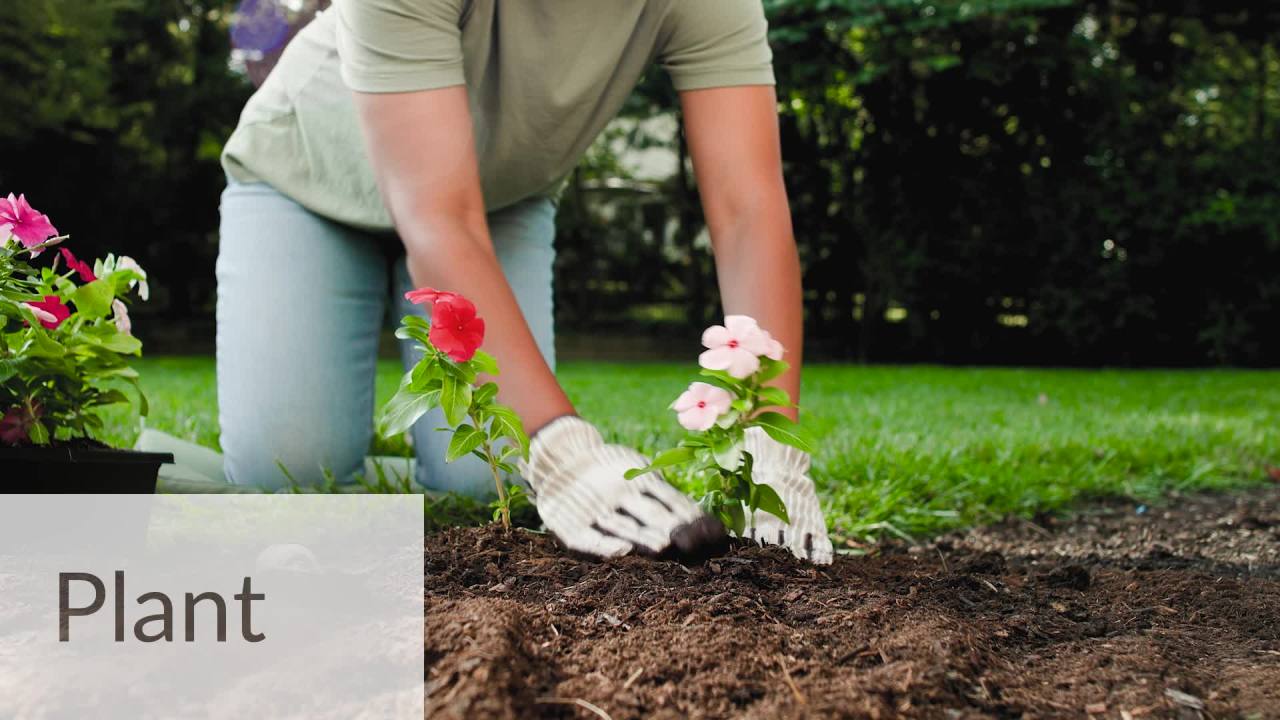 thumbnail video image 2 of Whitney Farms Organic Planting Soil, Premium Blend for In-ground Vegetable and Flower Beds, 1 cu.ft., 2 of 11