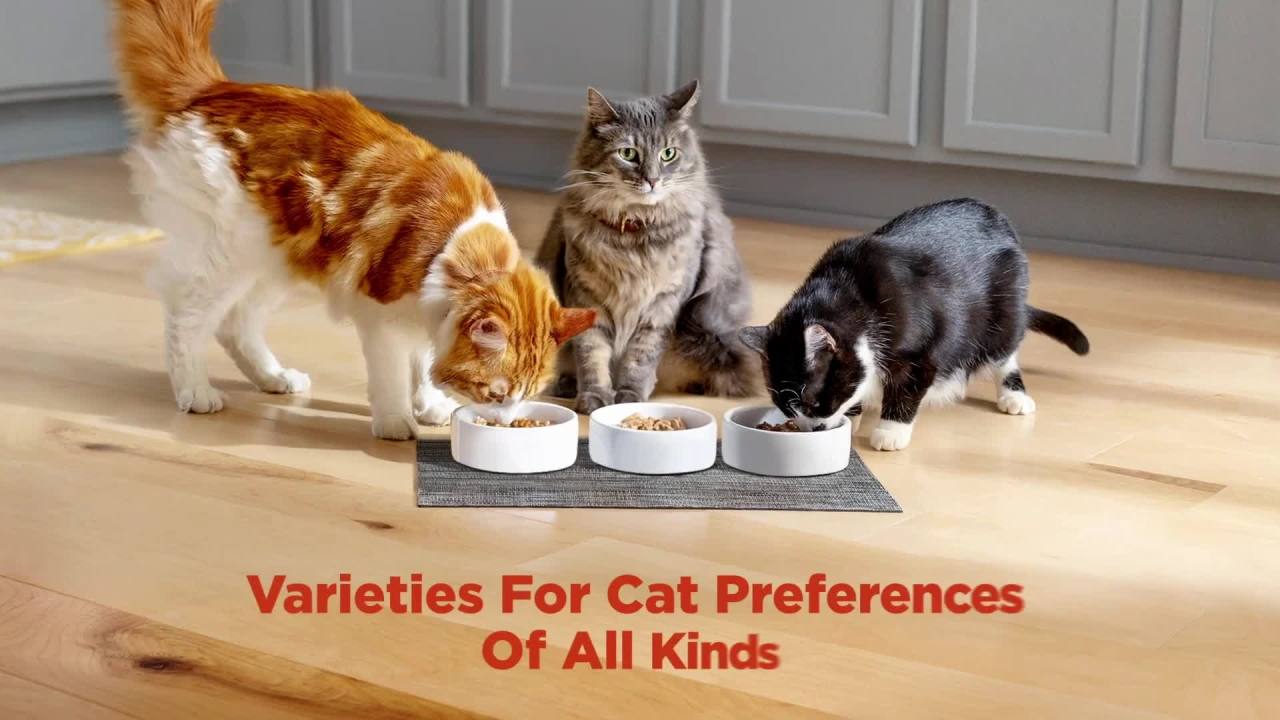 thumbnail video image 2 of Meow Mix Pate in Gravy  Surf n’ Turf Pates Variety Pack, Wet Cat Food, 2.75 oz Cup, 12 Pack, 2 of 10