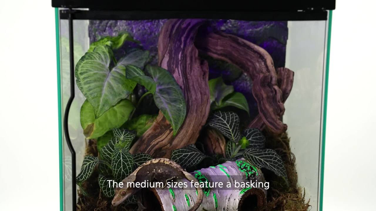 thumbnail video image 2 of Zilla Rapid Sense UV Detecting Crocodile Skull Décor for Reptiles, Medium, 2 of 11