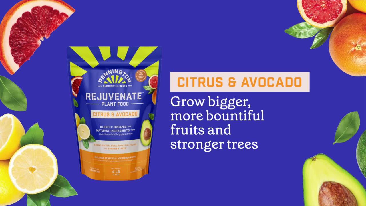 thumbnail video image 2 of Pennington Rejuvenate Organic and Natural Tomato and Vegetable Plant Food Fertilizer, 4 lb., 2 of 8