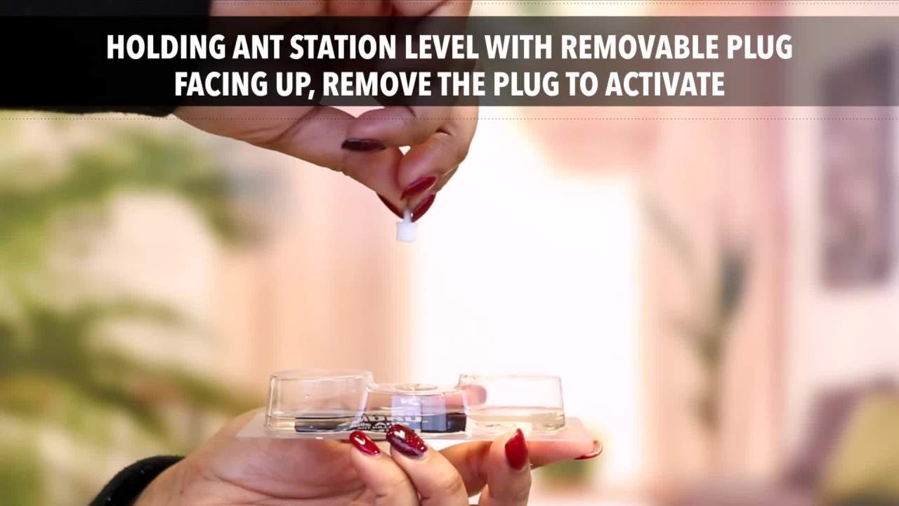 thumbnail video image 2 of Amdro Kills Ants Liquid Ant Killer Bait Stations, 6pk, 2 of 10