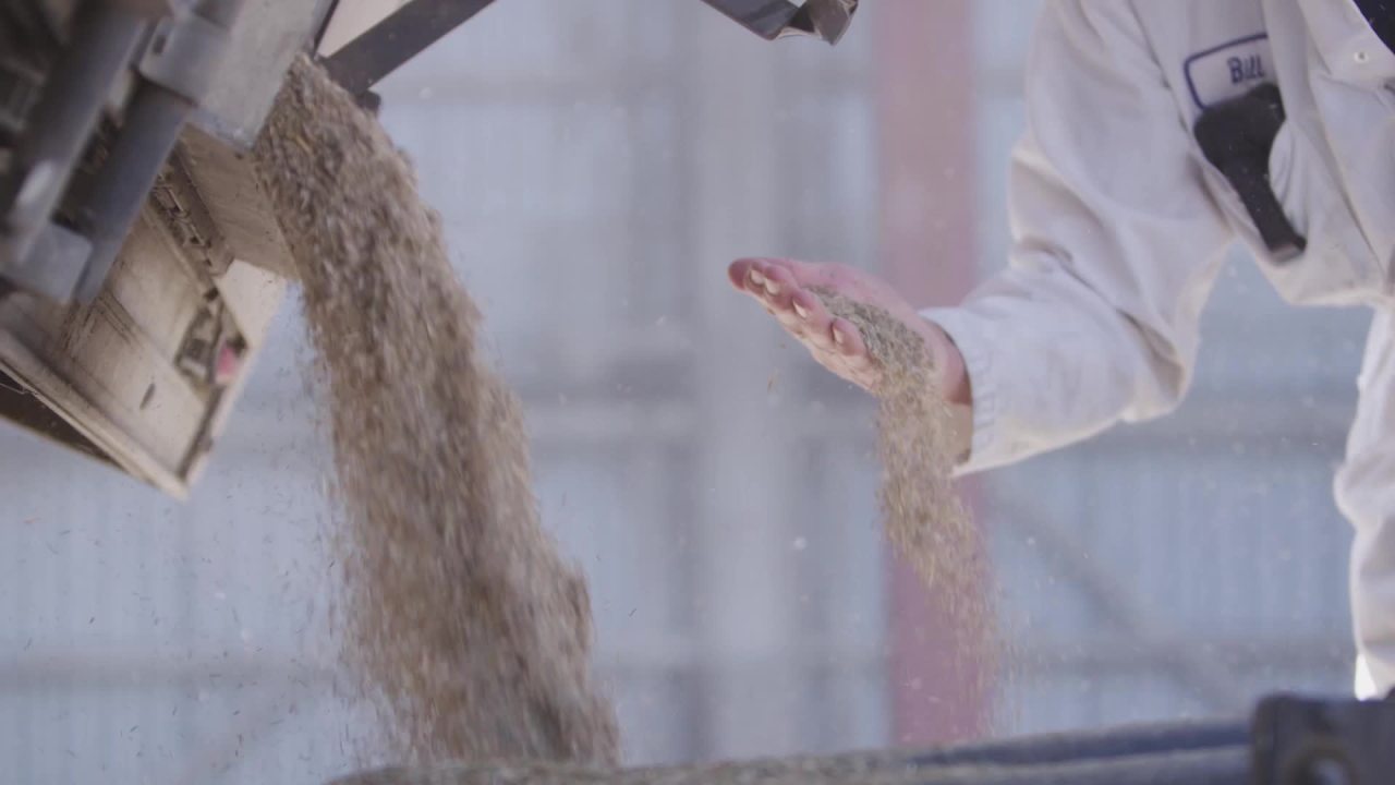 thumbnail video image 2 of Pennington Ultimate Plus Sun & Shade Southern Grass Seed and Fertilizer Mix, for Sun to Partial Shade 3 lb., 2 of 10