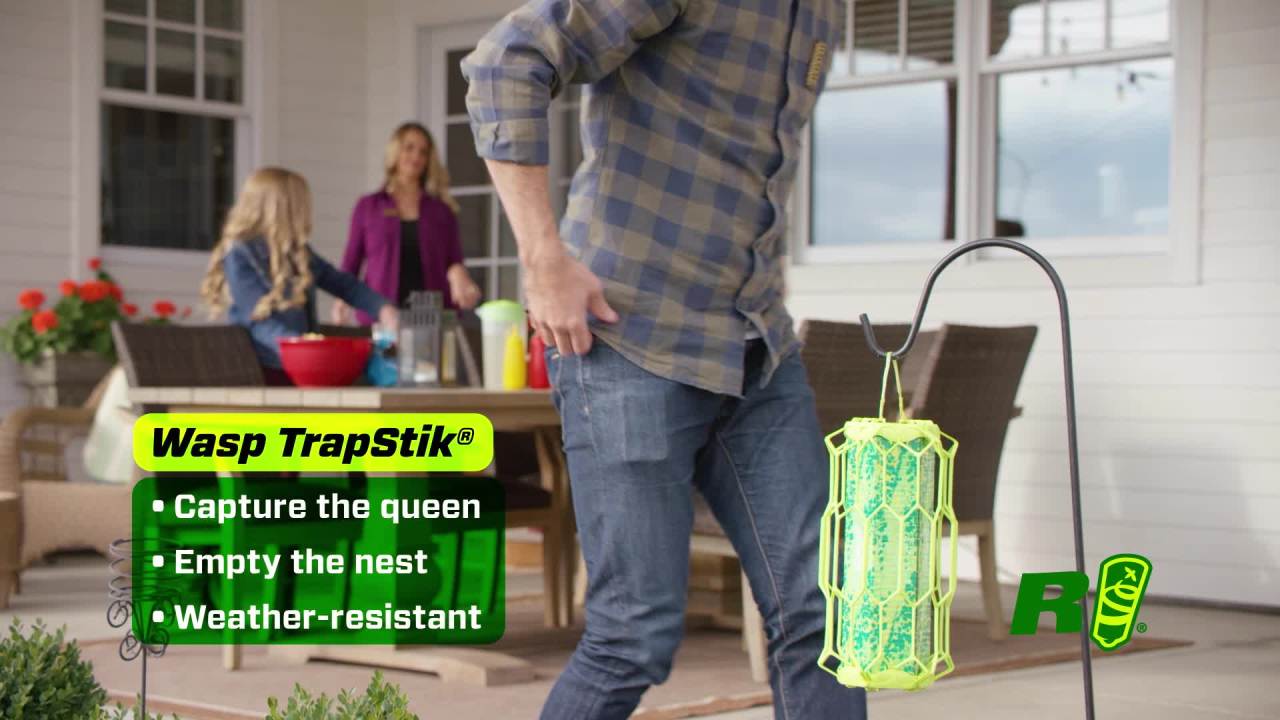 thumbnail video image 2 of RESCUE! Outdoor Trapstik Wasp Trap, 1 Trap, 2 of 10