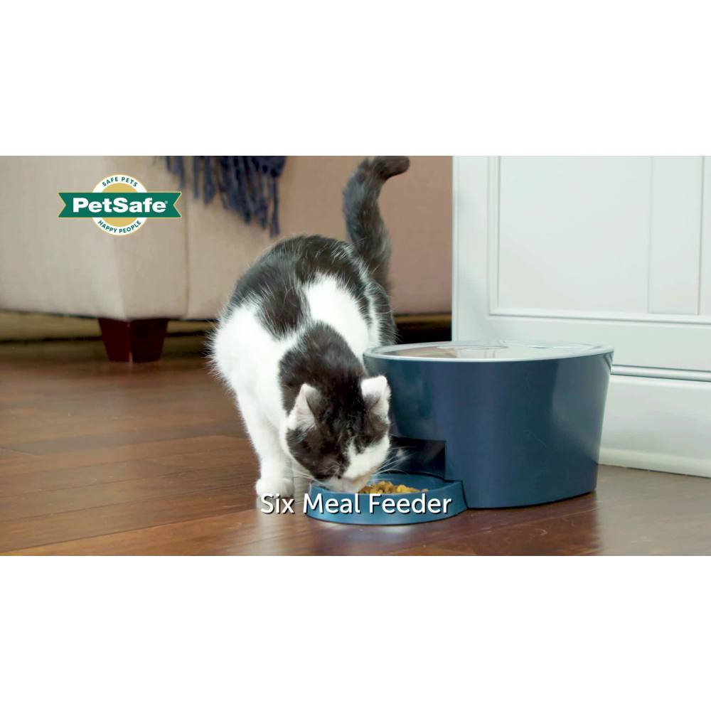 PetSafe 6 Meal Pet Feeder, Automatic Cat & Dog Feeder, 6 Cup Capacity - image 2 of 7