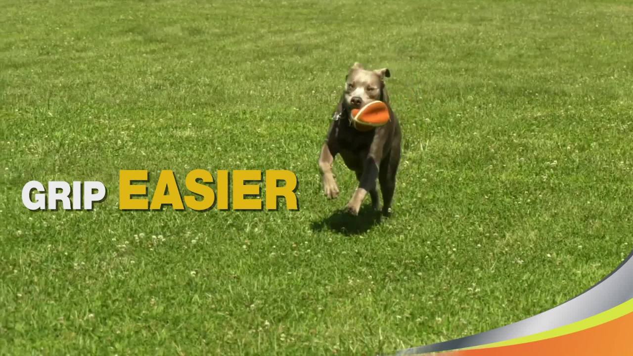 thumbnail video image 2 of Nylabone Power Play Dog Fetch Toys Fling-a-Bounce Medium - 10 in., 2 of 10