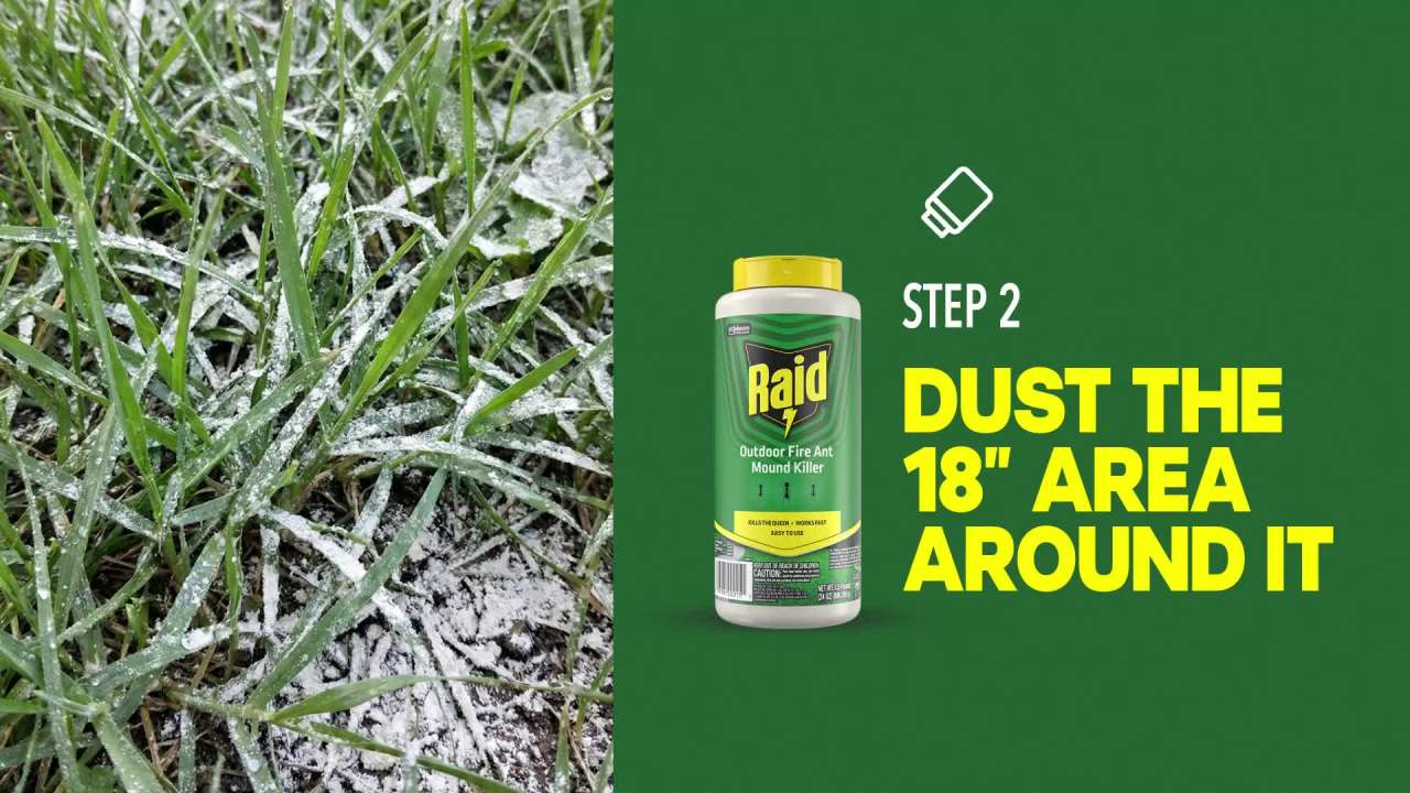 thumbnail video image 3 of Raid Outdoor Fire Ant Mound Killer, Dust Insecticide for Outside Household Use on Ants, Fire Ants and Termites, Lasts 1 Year, Kills the Queen, Works Fast and Easy-To-Use, 24 oz, 3 of 14