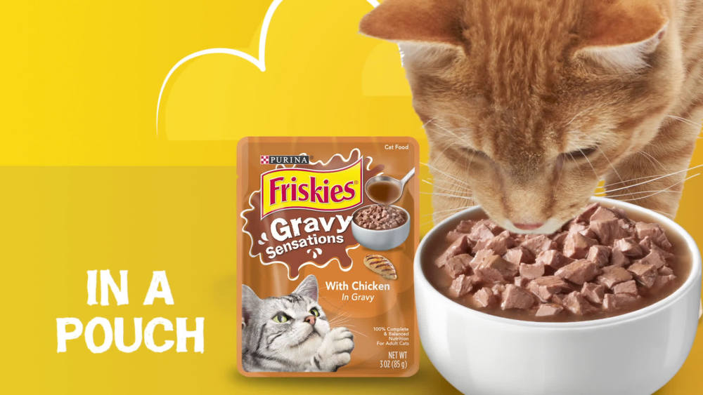 (24 Pack) Friskies Gravy Wet Cat Food Variety Pack, Gravy Sensations