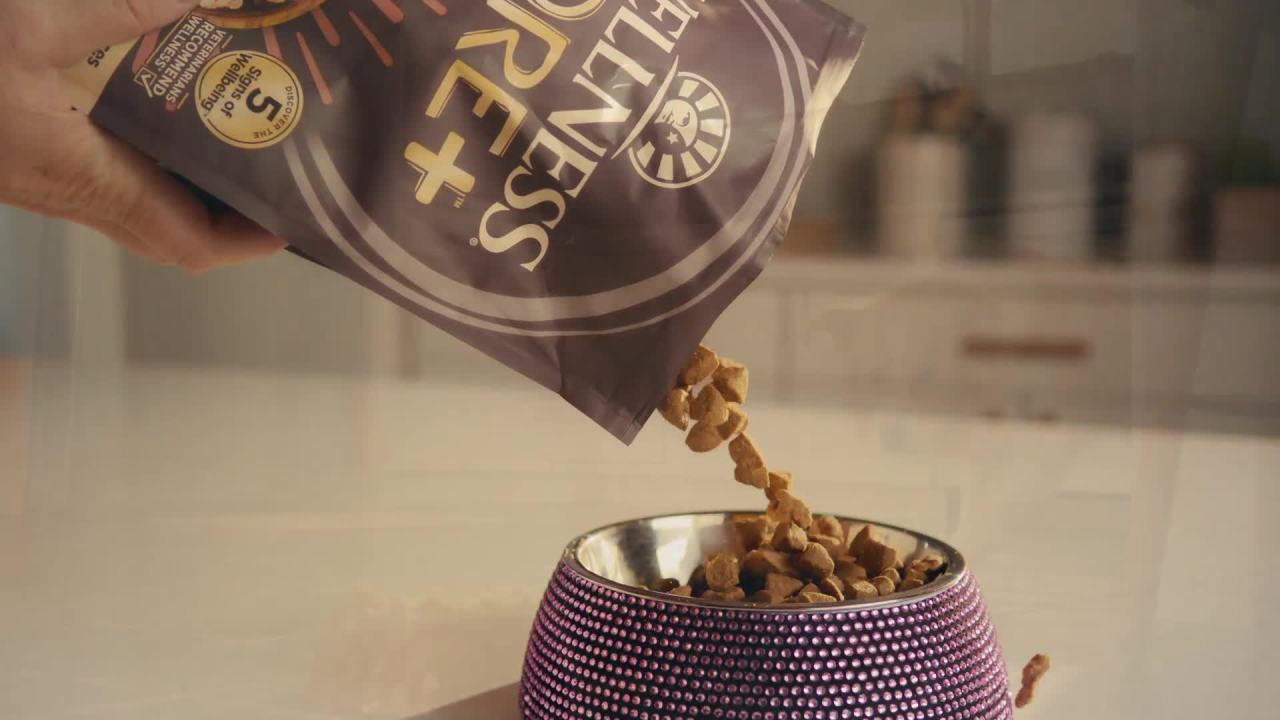 thumbnail video image 2 of Wellness CORE Dry Dog Food, Grain Free, High Protein, Natural, Wild Game Duck, Lamb, Wild Boar, & Rabbit Recipe, (12-Pound Bag), 2 of 9