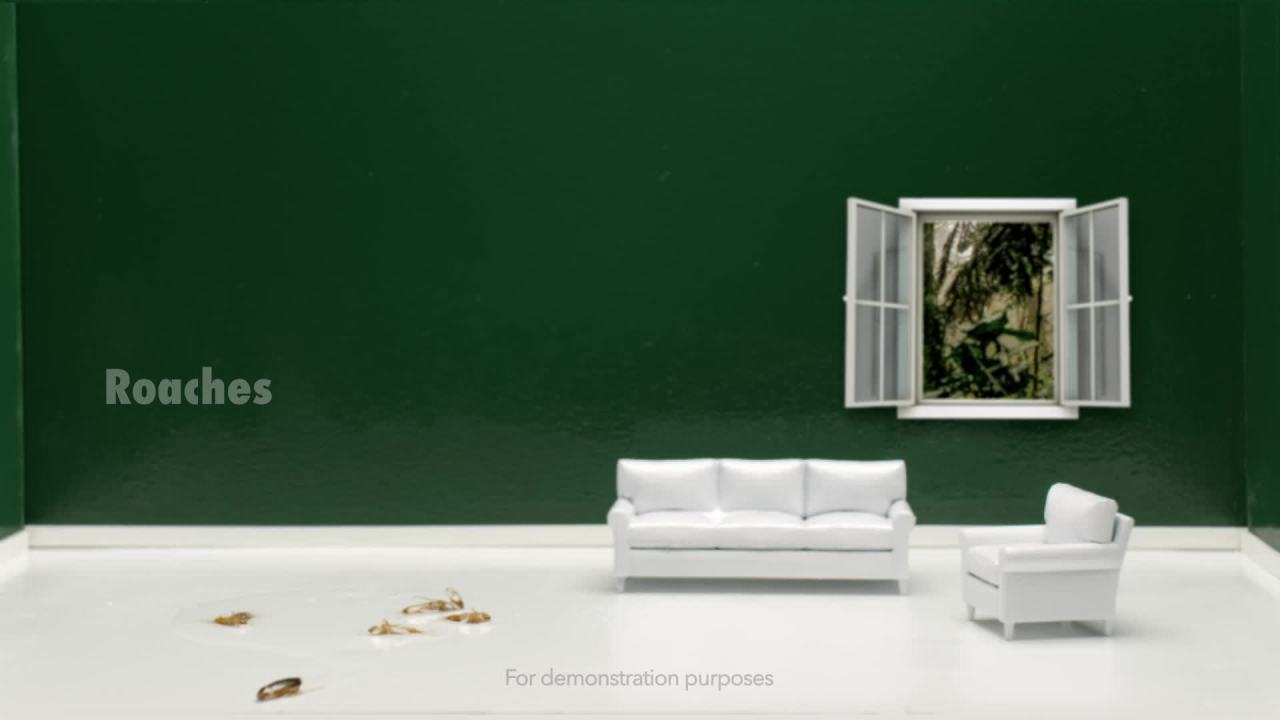 thumbnail video image 2 of STEM Kills Indoor & Outdoor Ants, Roaches & Spider Insect Killer Bug Spray, 12 oz, 2 of 14