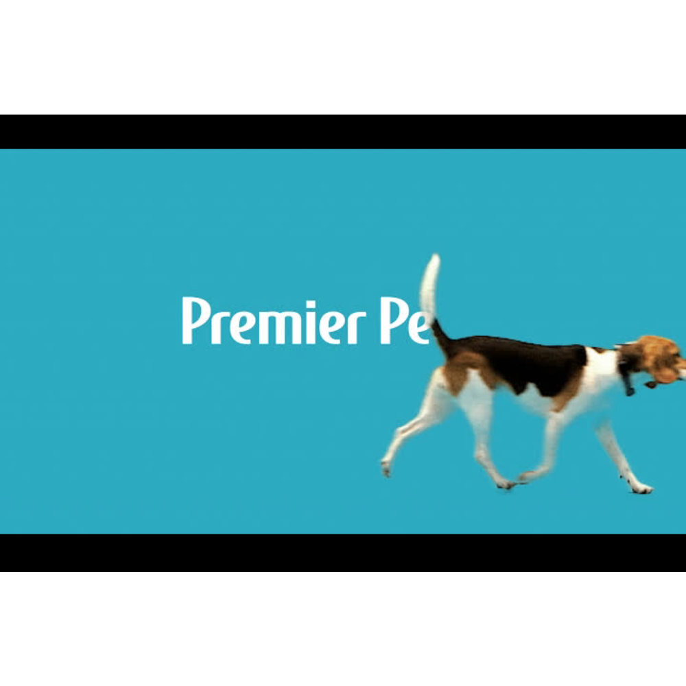 Premier Pet 300 Yard Remote Trainer: Corrects Unwanted Behaviors for All Size Dogs, 3 Correction Modes: Tone, Vibration, & Static, Rechargeable, Waterproof, Adjustable, Expandable to 2 Dogs - image 2 of 15