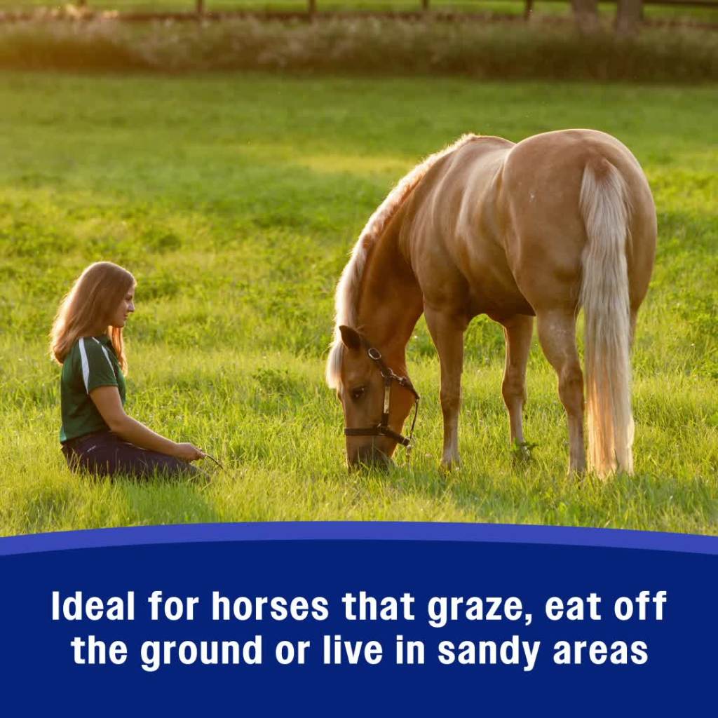 thumbnail video image 2 of Farnam SandClear Natural Psyllium Crumbles for Horses, 20 Pound, 64 Scoops, 2 of 14