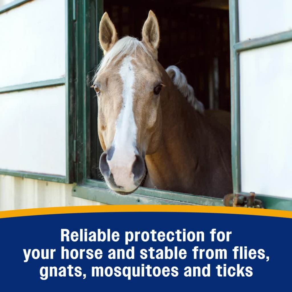 thumbnail video image 2 of Farnam Broncoe Water-based Fly Spray with Citronella Scent for Horses, Dogs, and Premises 32 Fluid Ounces, 2 of 13