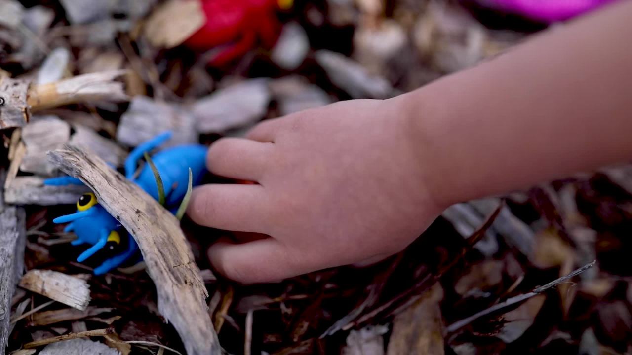 thumbnail video image 2 of Melissa & Doug Sunny Patch Cutie Pie Butterfly Bug House Toy With Carrying Handle and Easy-Access Door, 2 of 10