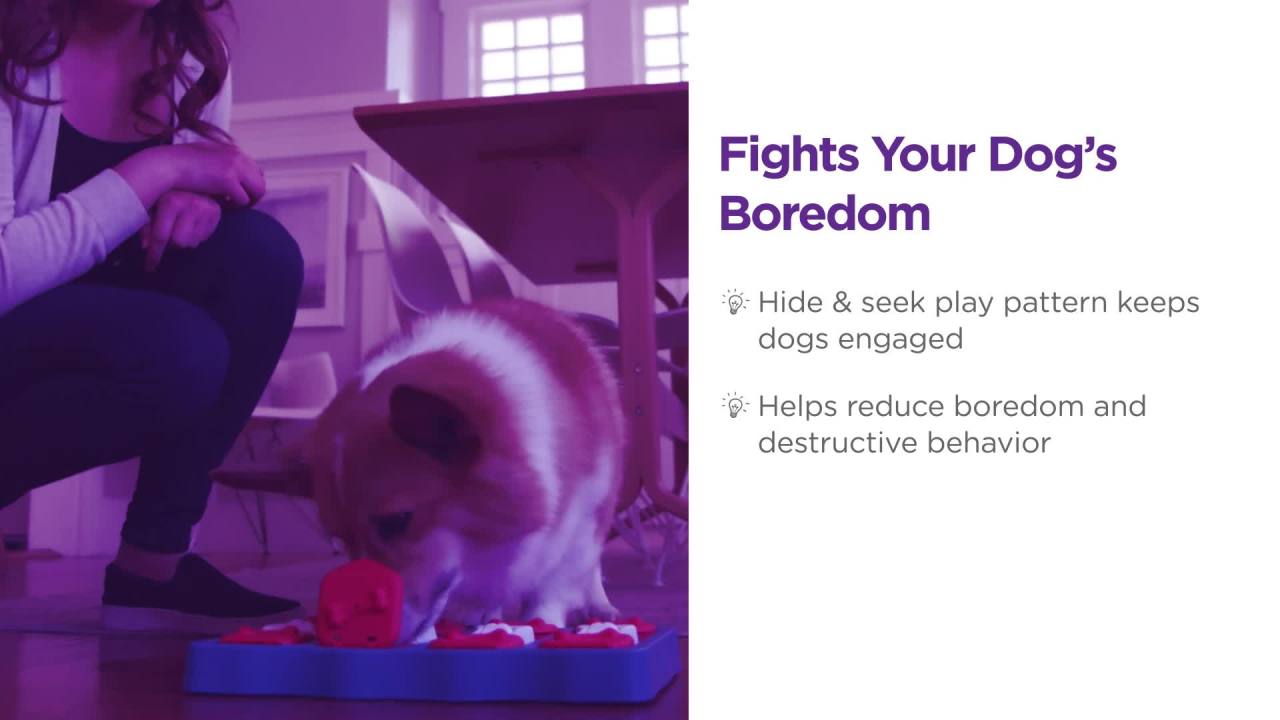 thumbnail video image 2 of Outward Hound Nina Dog Brick Interactive Treat Puzzle Dog Toy, Blue, One-Size, 2 of 11