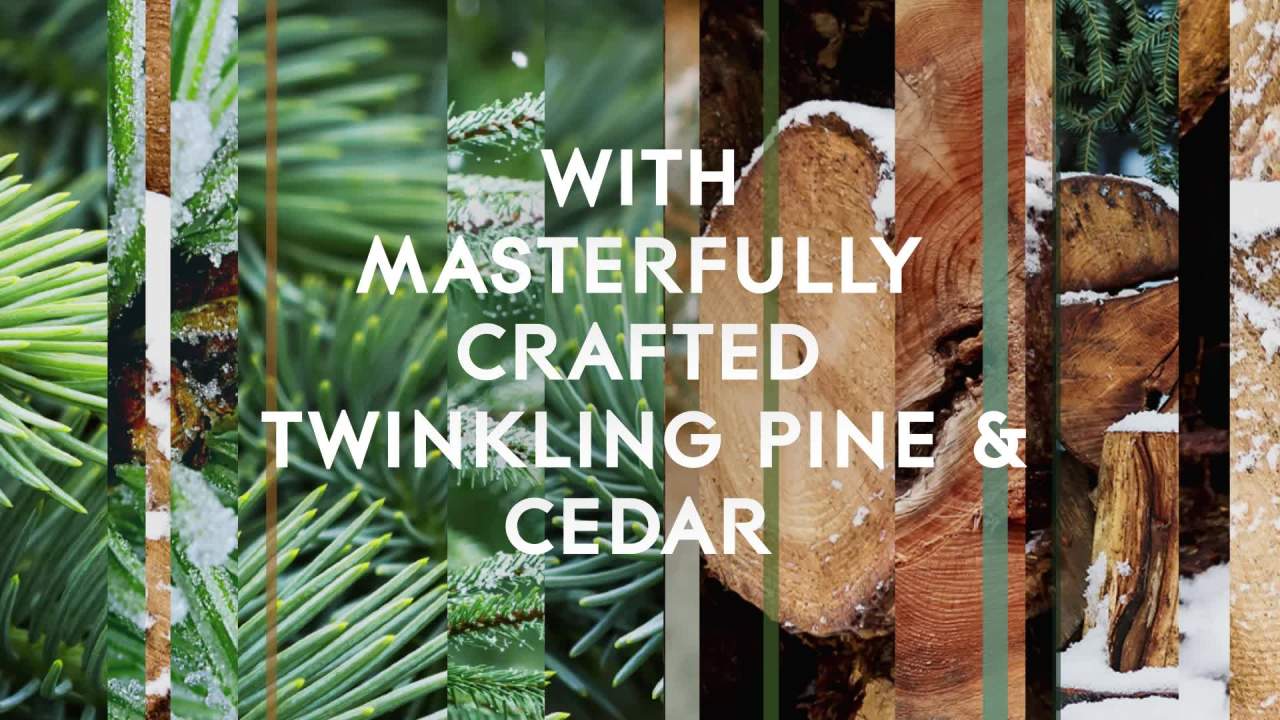 thumbnail video image 2 of Glade PlugIns Air Freshener Refills, Twinkling Pine & Cedar, Fragrance Infused with Essential Oils, 0.67 oz, 5 Count, 2 of 16