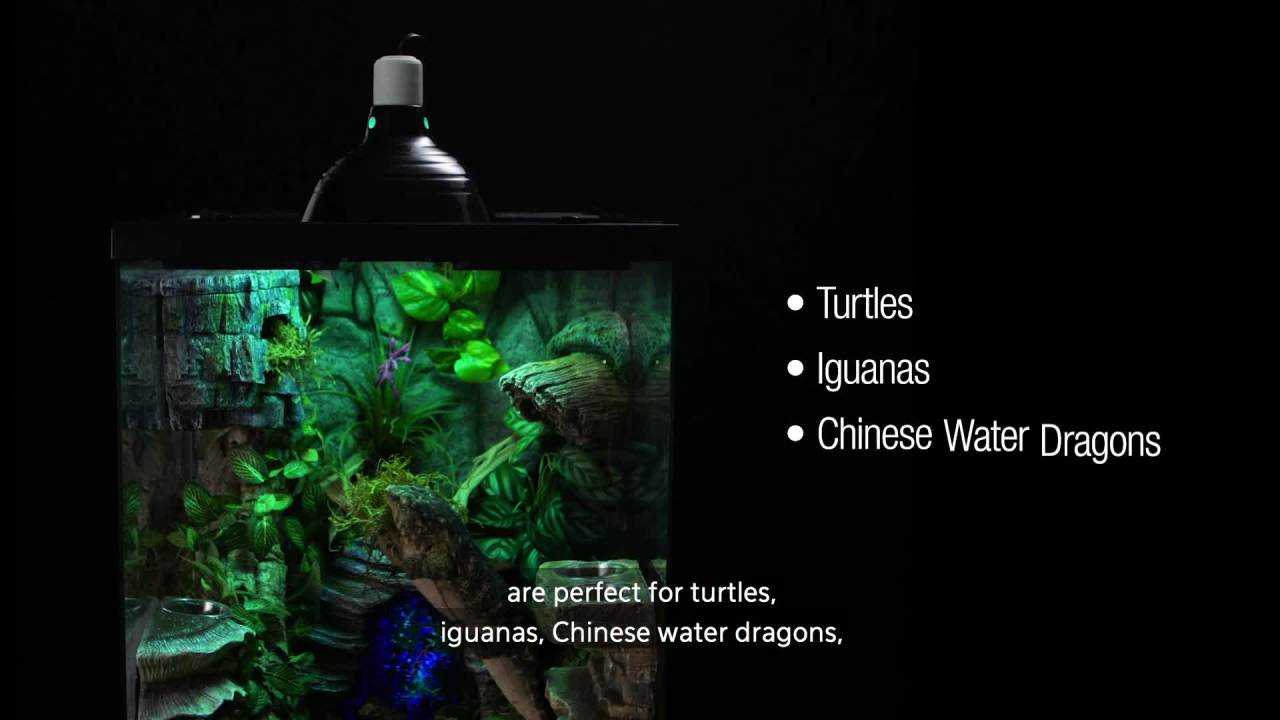 thumbnail video image 2 of Zilla Fluorescent Coil Bulb Tropical 20 Watts, 2 of 6