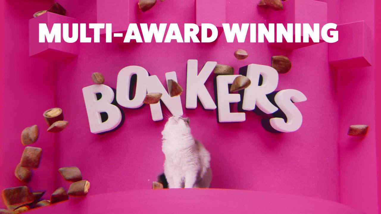 thumbnail video image 2 of (10 pack) BONKERS Bites Catnip & Chick 'N' Cheddar Flavor Crunchy & Soft Treats for Cats, 3oz Bag, 2 of 18