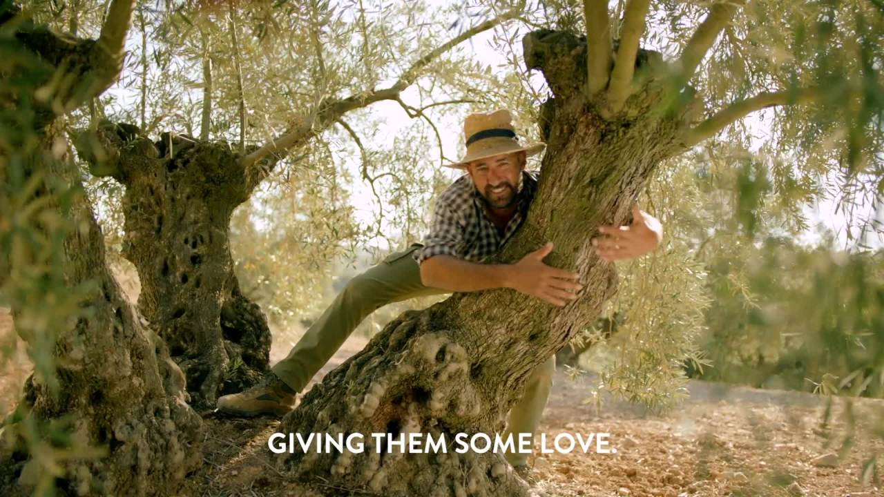 thumbnail video image 2 of Pompeian OlivExtra Mediterranean Blend - 24 fl oz, 2 of 9