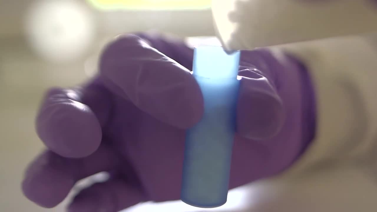 thumbnail video image 2 of Boiron Chelidonium Majus 6C, Homeopathic Medicine for Nausea With Right Upper Back Pain, 80 Pellets, 2 of 11