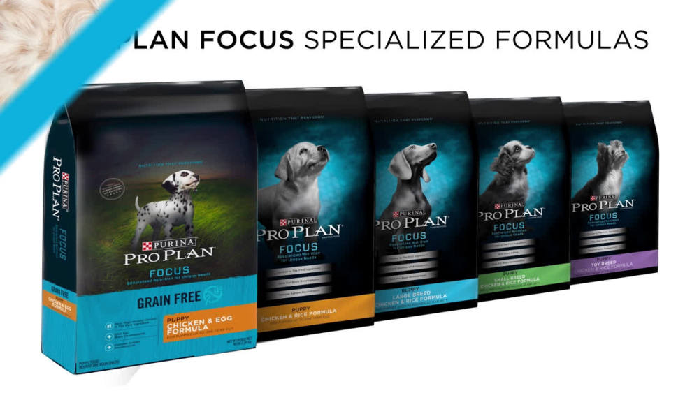 Purina Pro Plan Grain Free Large Breed Dry Puppy Food FOCUS Chicken