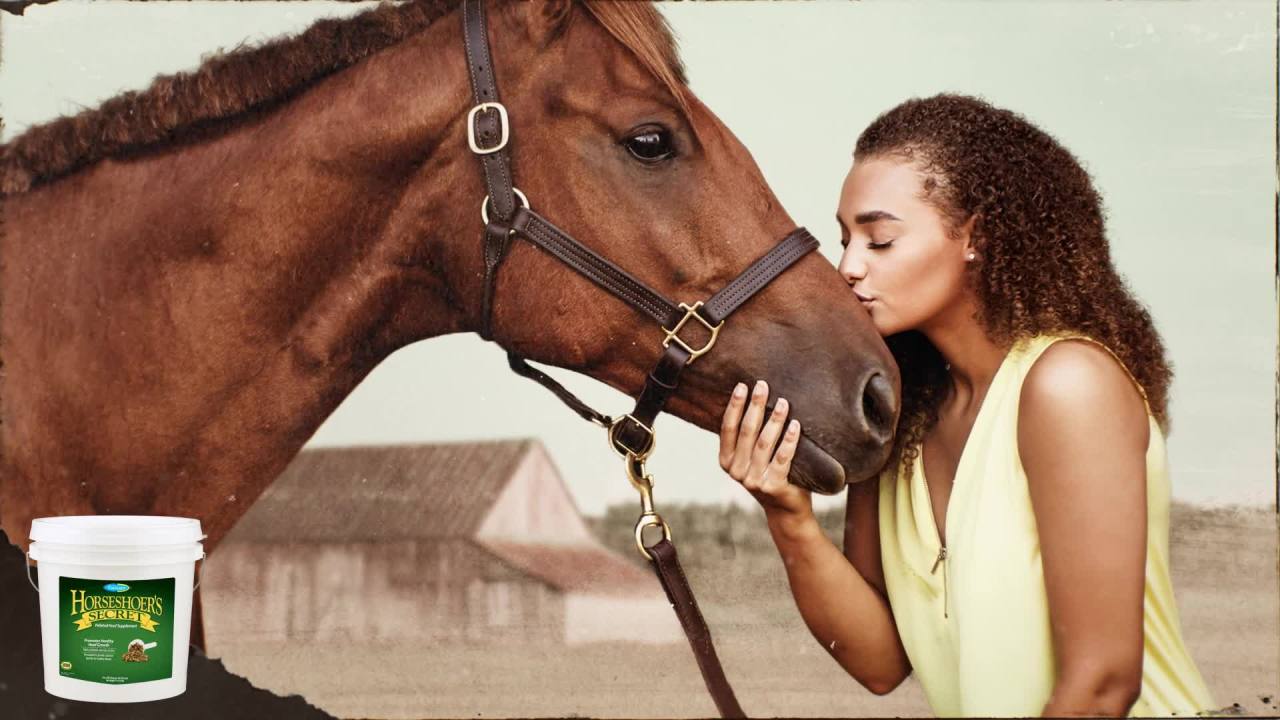 thumbnail video image 2 of Farnam Repel-X pe Concentrated Fly Spray for Horses, Just Add Water 16 Ounces, 2 of 12