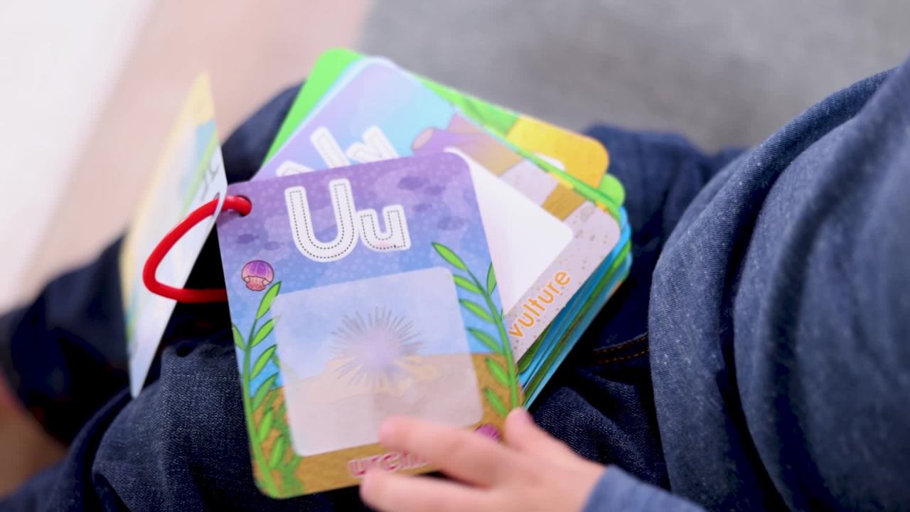 thumbnail video image 2 of Melissa & Doug On the Go Water Wow! Reusable Water-Reveal Activity Cards - Alphabet and Animals - FSC Certified, 2 of 10