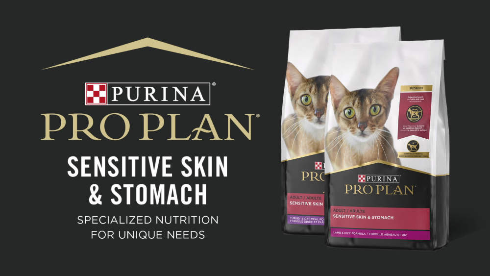 Purina Pro Plan Sensitive Skin and Stomach Lamb Rice Dry Cat Food, 22