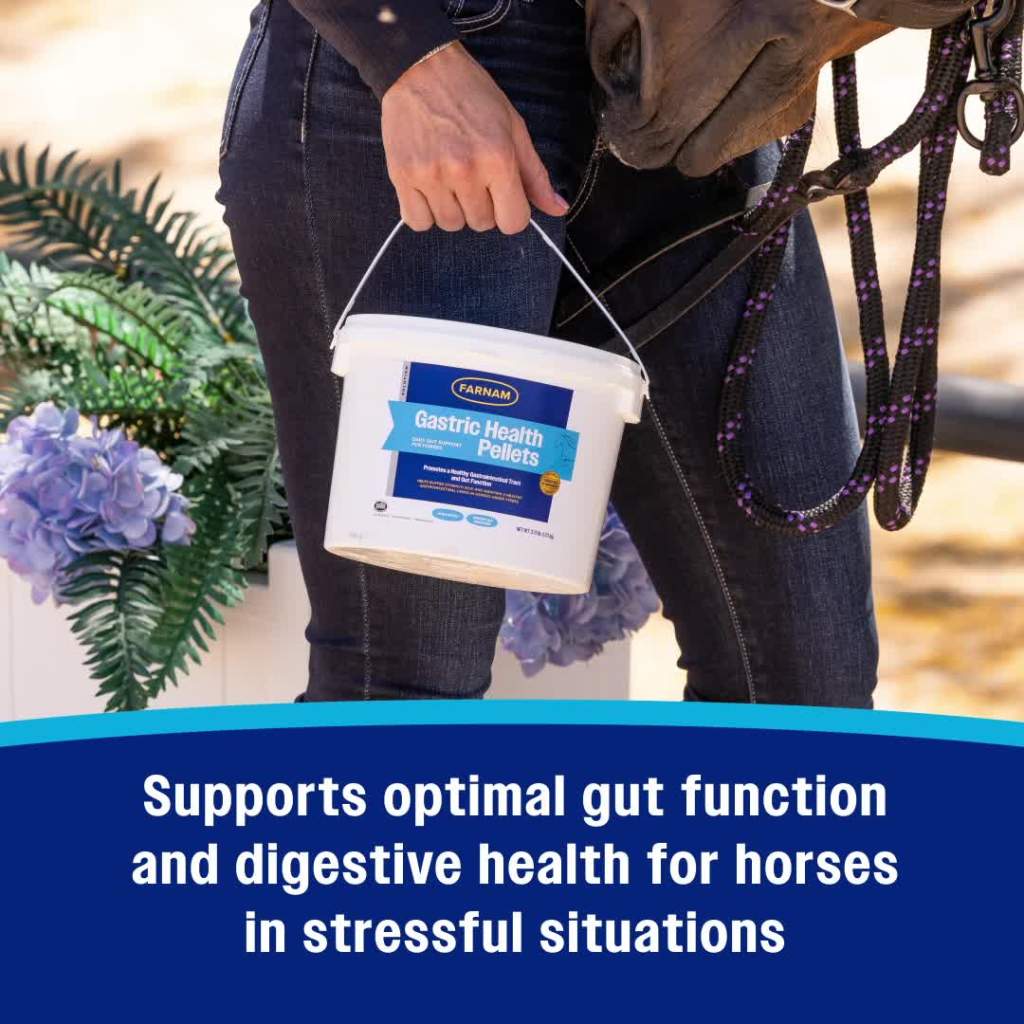 thumbnail video image 2 of Farnam Gastric Health Pellets 3.75 lb., 30 Day Supply, 2 of 16