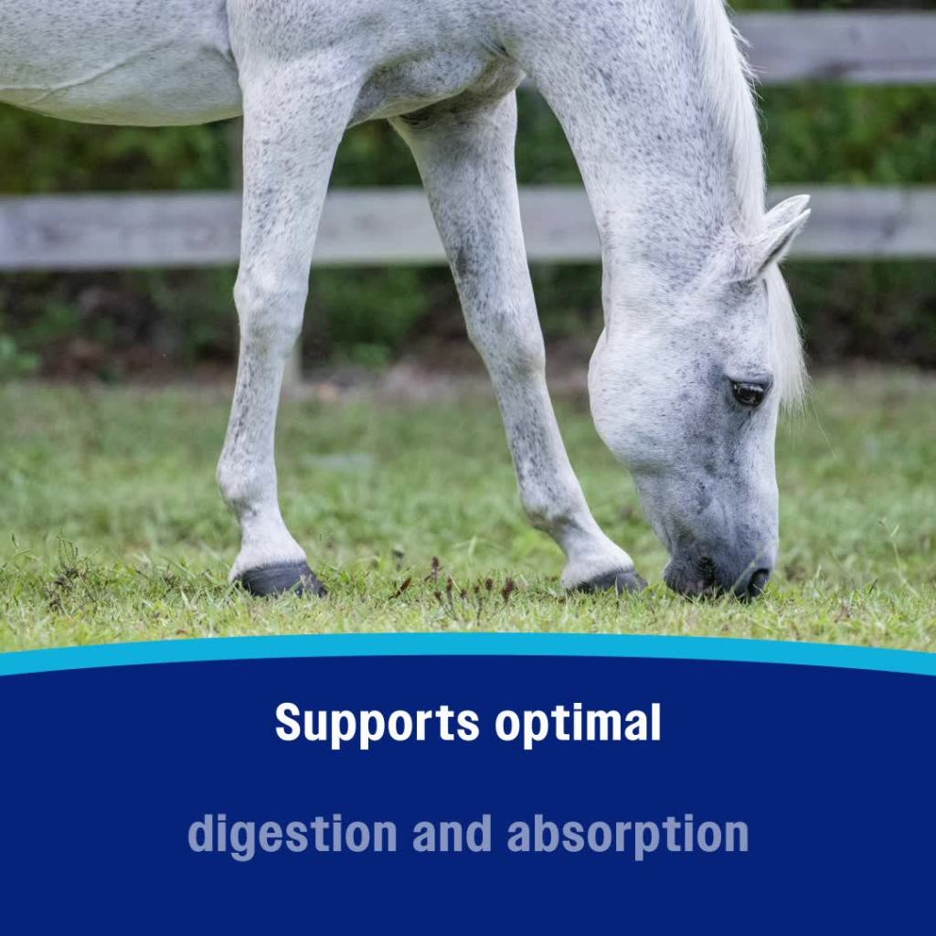 thumbnail video image 2 of Farnam Probiotic Paste 30 grams, 2 of 17