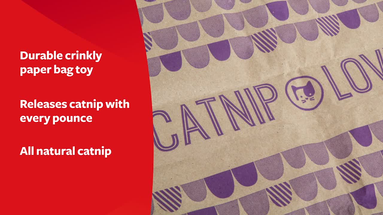thumbnail video image 2 of SmartyKat Catnip Caves Paper Bag Cat Toys, Scratch Activated Catnip Scent, 2 count, 2 of 10
