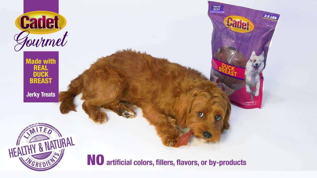thumbnail video image 2 of Cadet Gourmet Duck Breast Treats for Dogs 2.5 Pound, 2 of 12