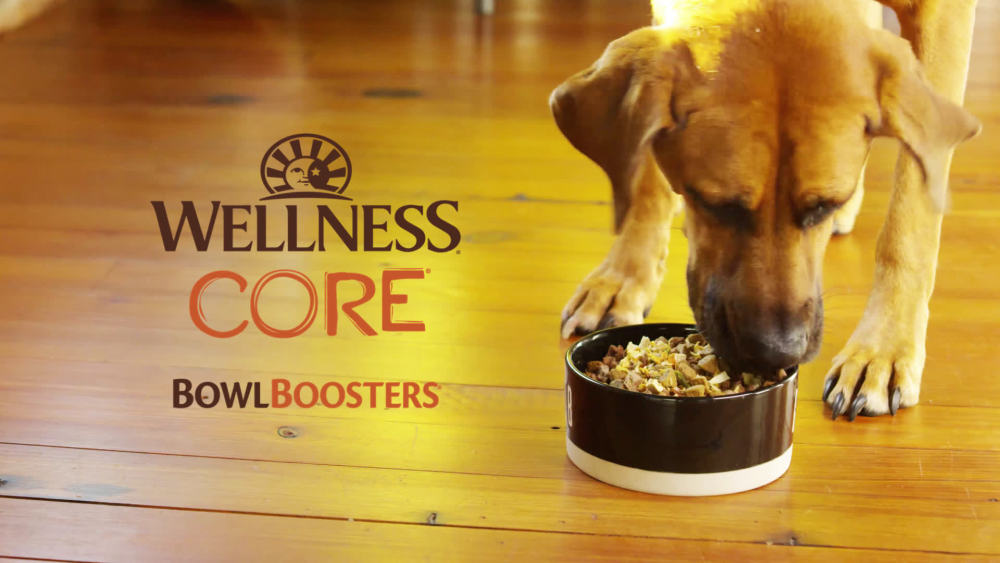 Wellness CORE Bowl Boosters Heart Health Dog Food Topper, 4 Ounce Bag