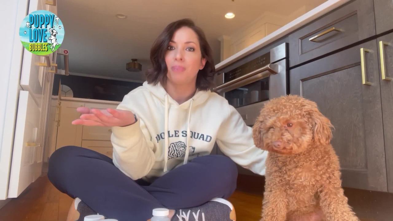 thumbnail video image 2 of Puppy Love Bubbles: 2 Pack Bacon Scented - 4oz. Bottles, Scented Bubbles For Dogs, Non-Toxic & Allergen Free, Combine Toy & Treat, 2 of 14