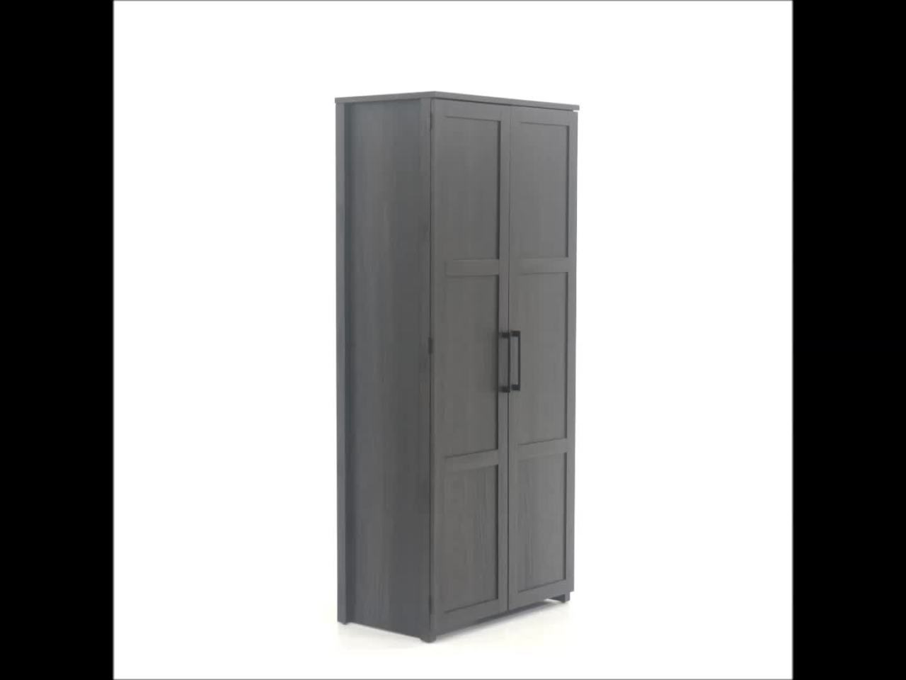 thumbnail video image 2 of Sauder HomePlus Storage Cabinet, Dakota Oak Finish, 2 of 12