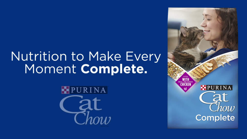 Purina Cat Chow High Protein Dry Cat Food, Complete, 18 oz. Box