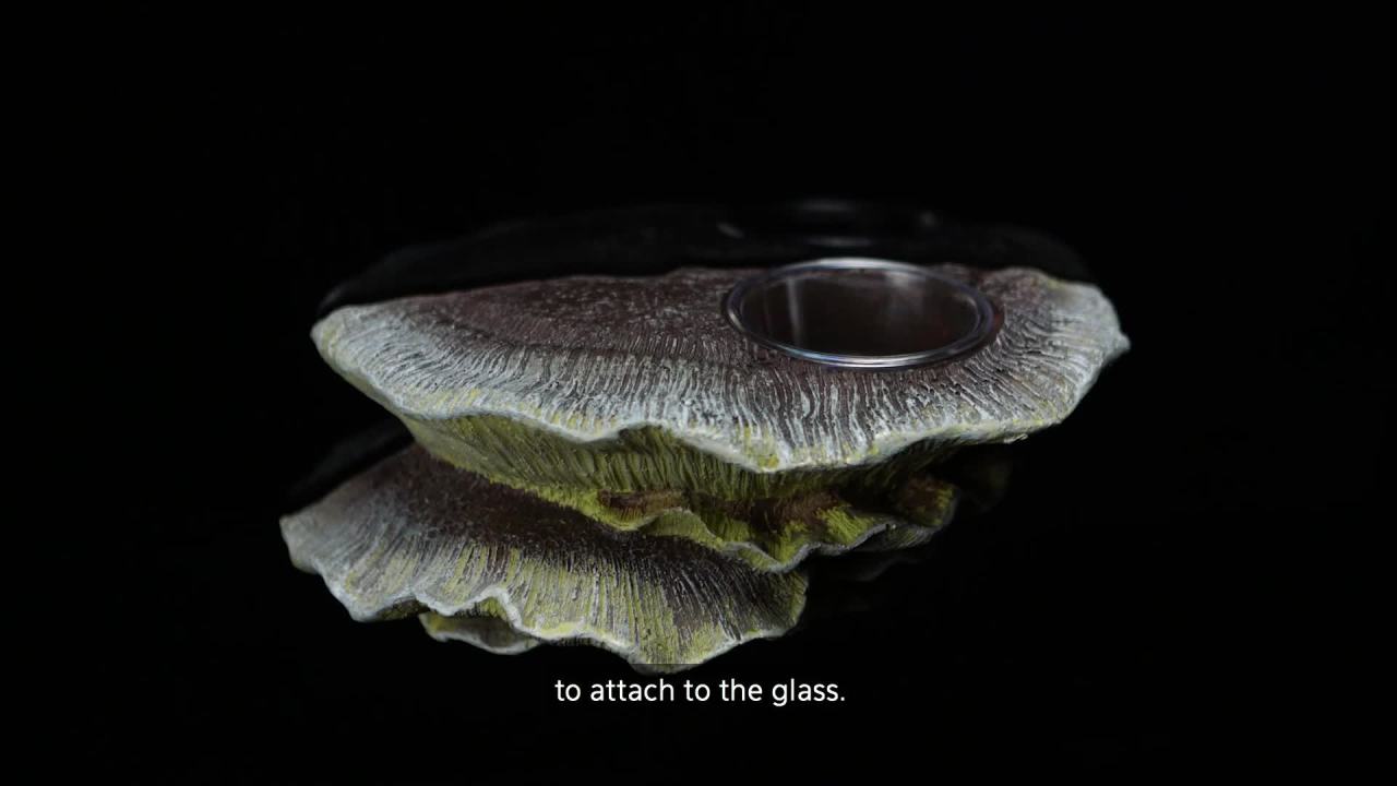 thumbnail video image 2 of Zilla Vertical Décor Rock Cave 8.75 x 5.875 x 7.25", 2 of 10