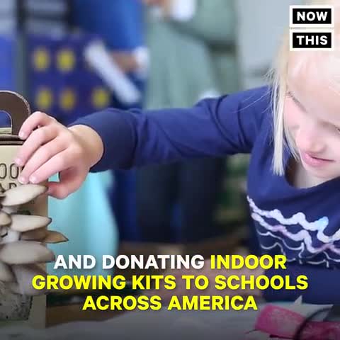 thumbnail video image 2 of Back to the Roots Organic Microgreens Grow Kit, Green Mighty Mix, 2 of 10